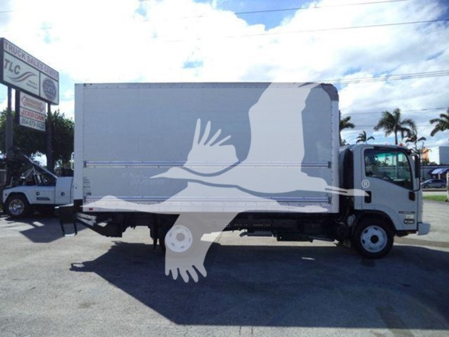 Isuzu NPR HD box truck showing side profile with a large graphic of a bird in flight on the box.