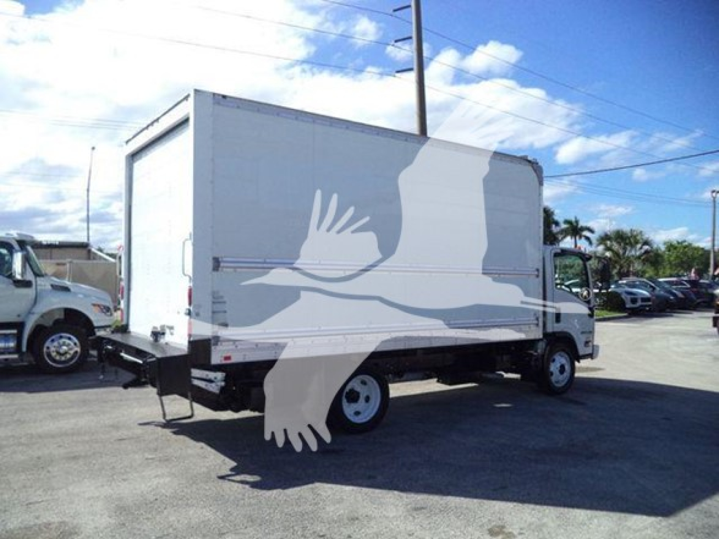 Isuzu NPR HD box truck showing a large white eagle graphic on the cargo box side, rear and side view with cab and wheels.