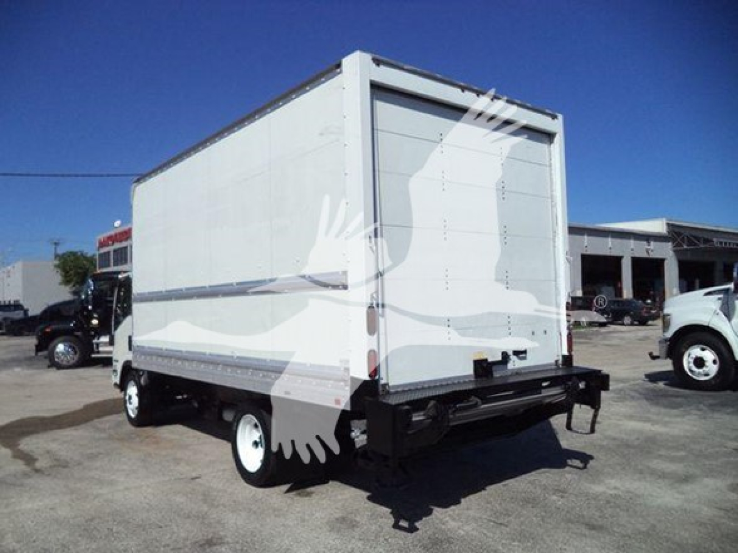 Isuzu NPR-HD box truck rear view showing white cargo box and dual rear doors with black bumper and chassis.