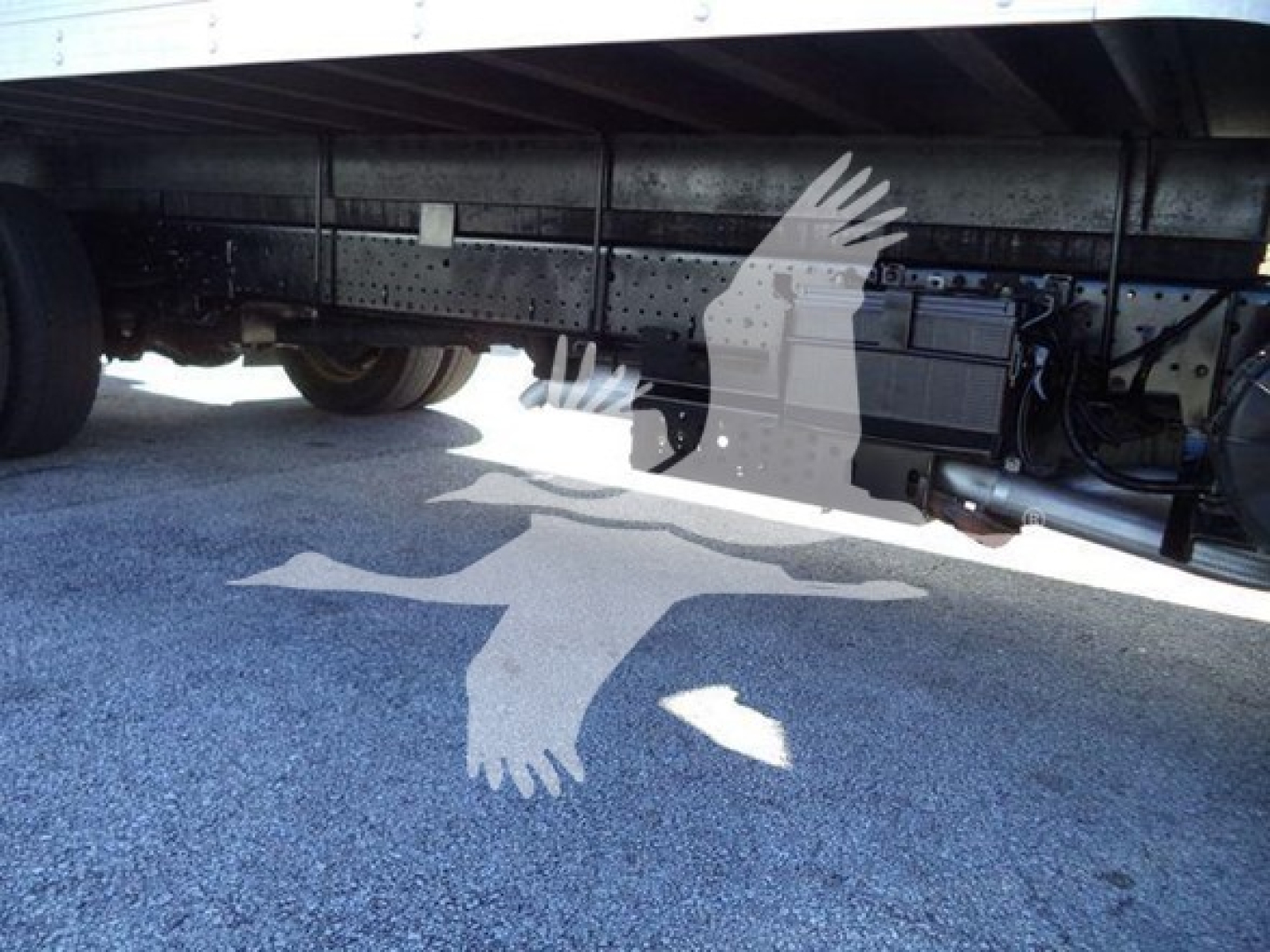 Isuzu NPR HD undercarriage showing frame rails, suspension, and fuel tank with hoses and wiring visible.