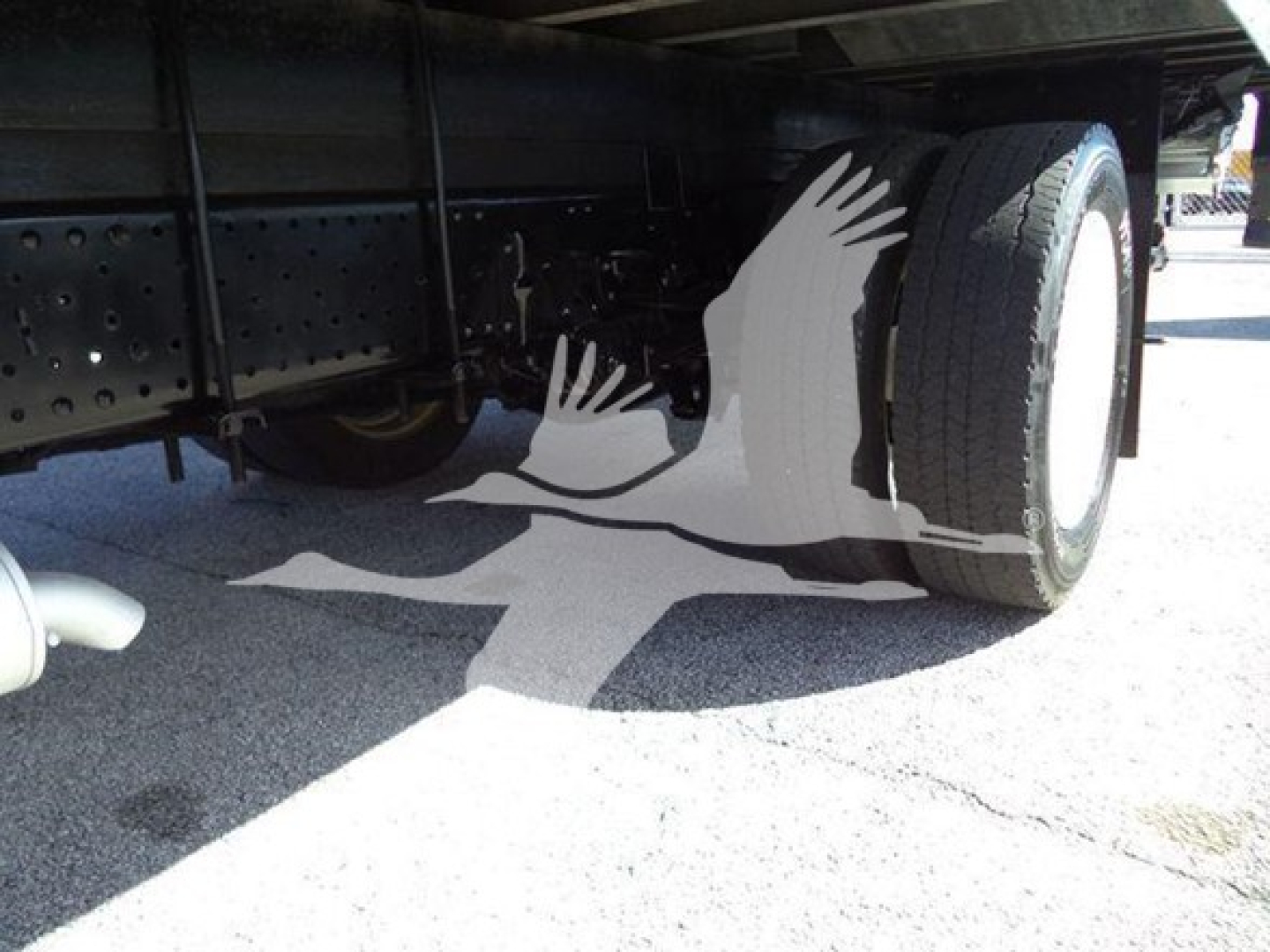 Isuzu NPR-HD truck undercarriage showing rear dual tires and chassis with shadow of a bird graphic on the ground.