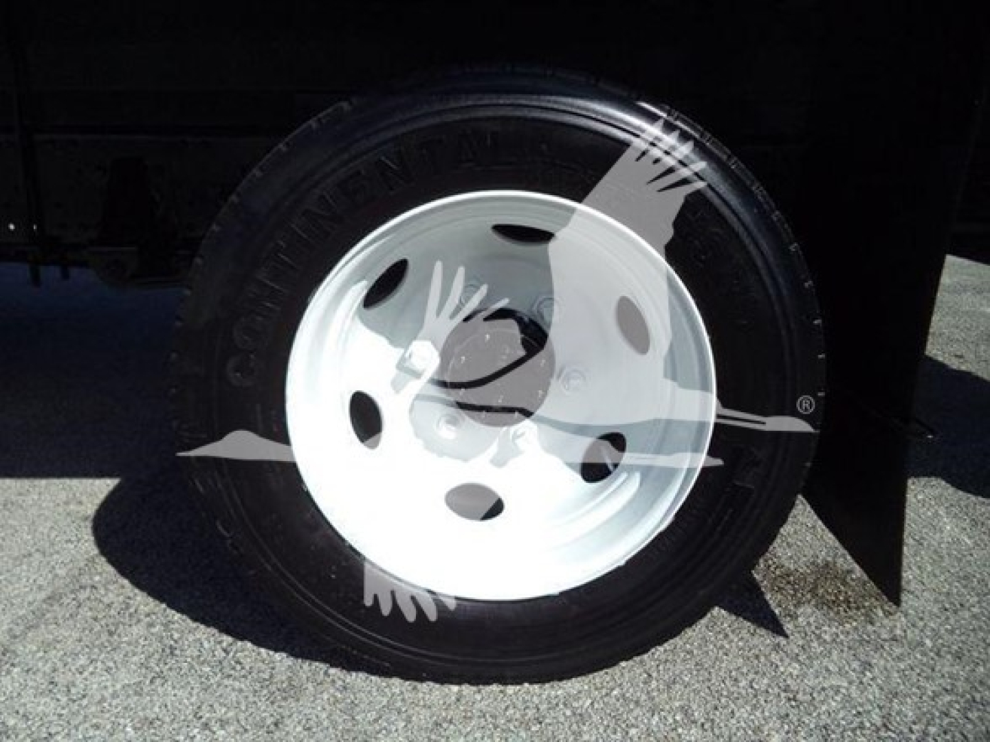 Isuzu NPR HD wheel/rim close-up showing white steel wheel and tire mounted on front axle.