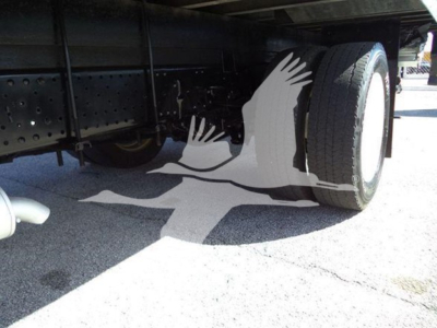 Isuzu NPR-HD truck undercarriage showing rear dual tires and chassis with shadow of a bird graphic on the ground.