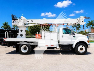 Terex Commander crane truck side view showing boom and operator platform with white finish and blue sky.