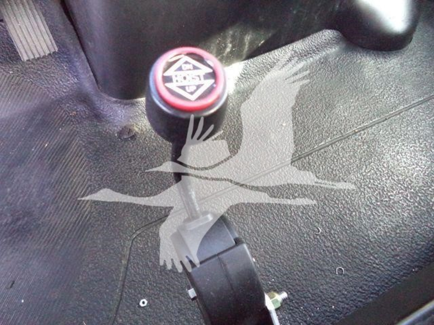 Gear shift knob with red top and logo in cabin interior, lever in view, surrounding textured black dashboard area.