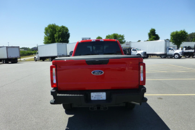 Ford F-250 Super Duty rear view showing bright red tailgate with Ford emblem, black bumper, trailer hitch, in a dealership lot.