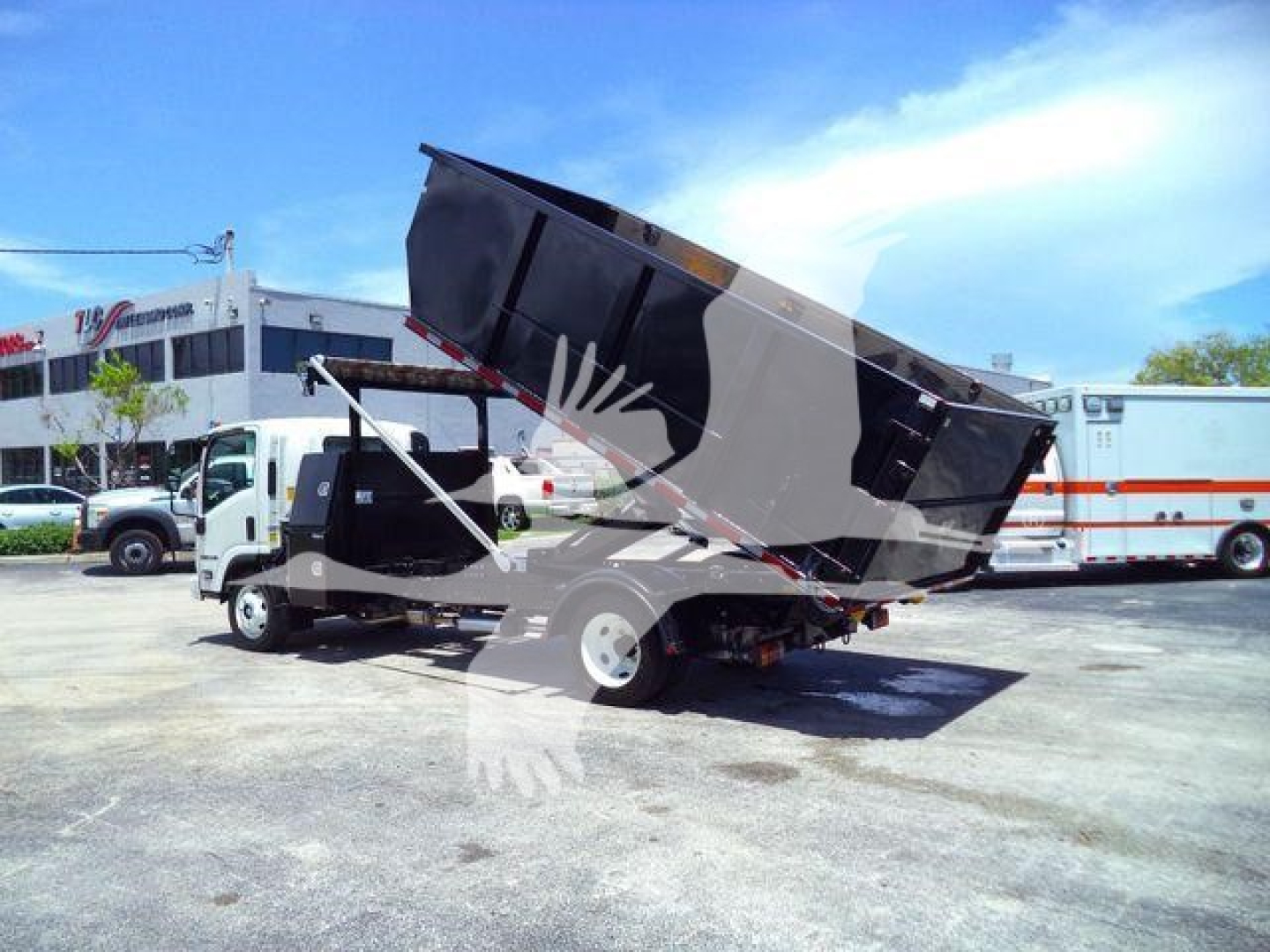Isuzu NPRR rolloff truck with dump bed raised, white cab, black dump body, dealership lot in background.