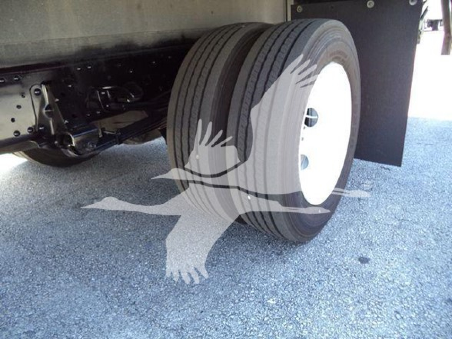 Isuzu NPR-HD truck rear dual wheels showing tires and white wheel rims under the chassis.