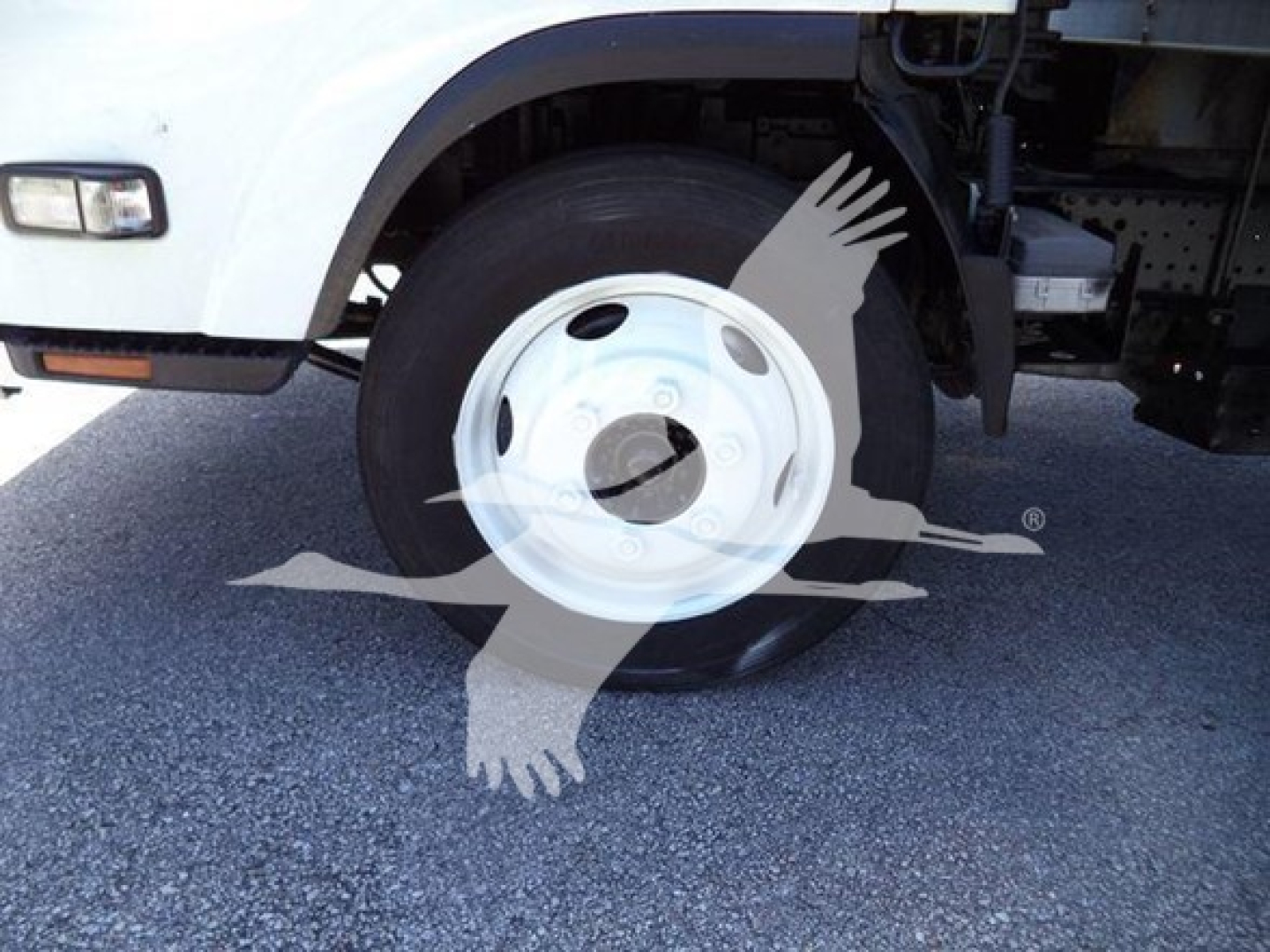 Isuzu NPR HD truck wheel and front fender showing white hubcap and tire side with partial body