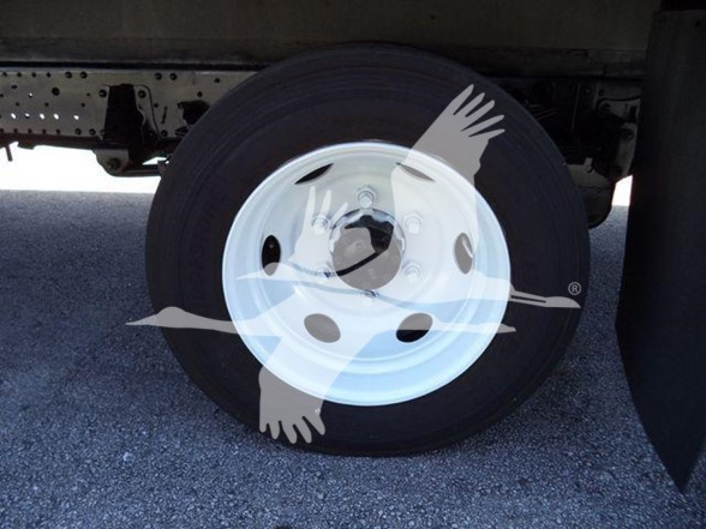 Isuzu NPR HD truck wheel and undercarriage showing a white steel wheel with black tire.