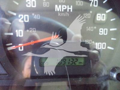 Isuzu NPR HD truck gauge cluster showing speedometer and an odometer reading 149132 miles, with a reflection of a hand in the glass.