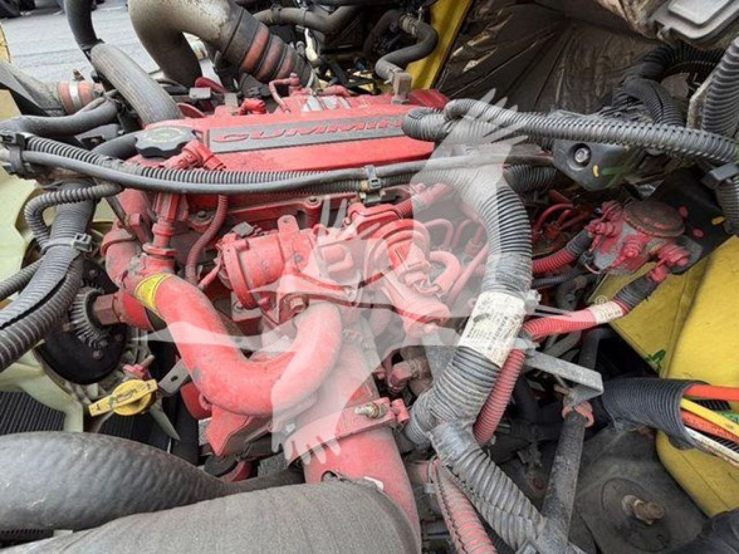 Engine bay of a 2020 International MV showing red engine components, intake manifold, hoses, wiring harness, and surrounding machinery.