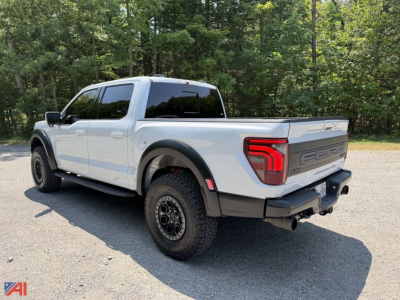 Ford F-150 Raptor Crew Cab pickup truck in light gray, angled rear three-quarter view, four door, off-road tires, truck bed, forest background.