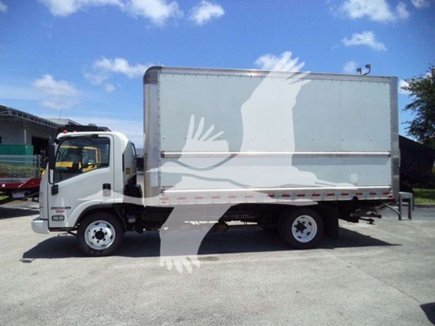 Isuzu NPR box truck side view showing cargo box and cab with VIN sticker obscured by watermark.