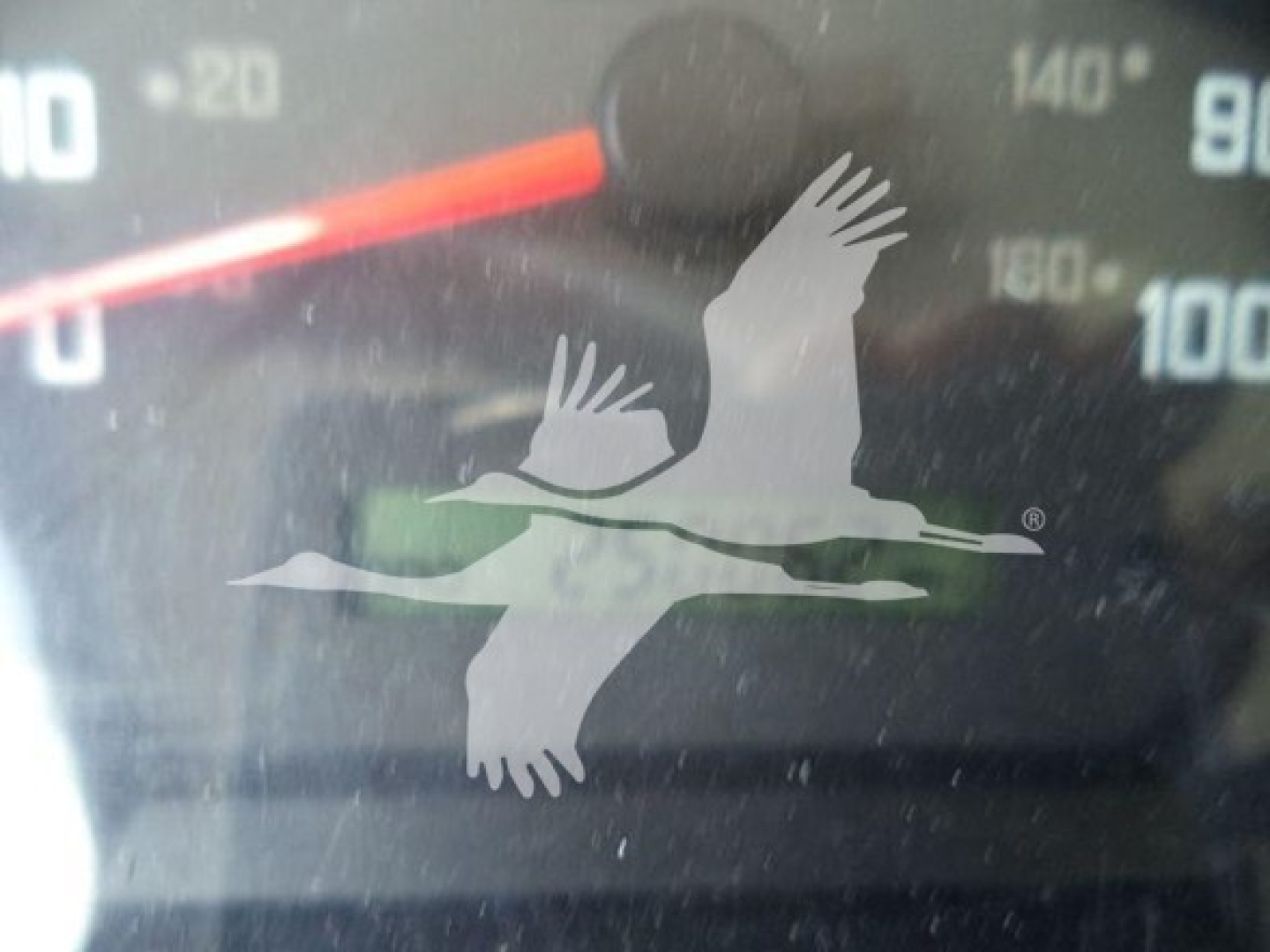 Isuzu NPR dashboard cluster gauge showing speedometer with numeric markings and a watermark of a bird in flight overlaying the image.