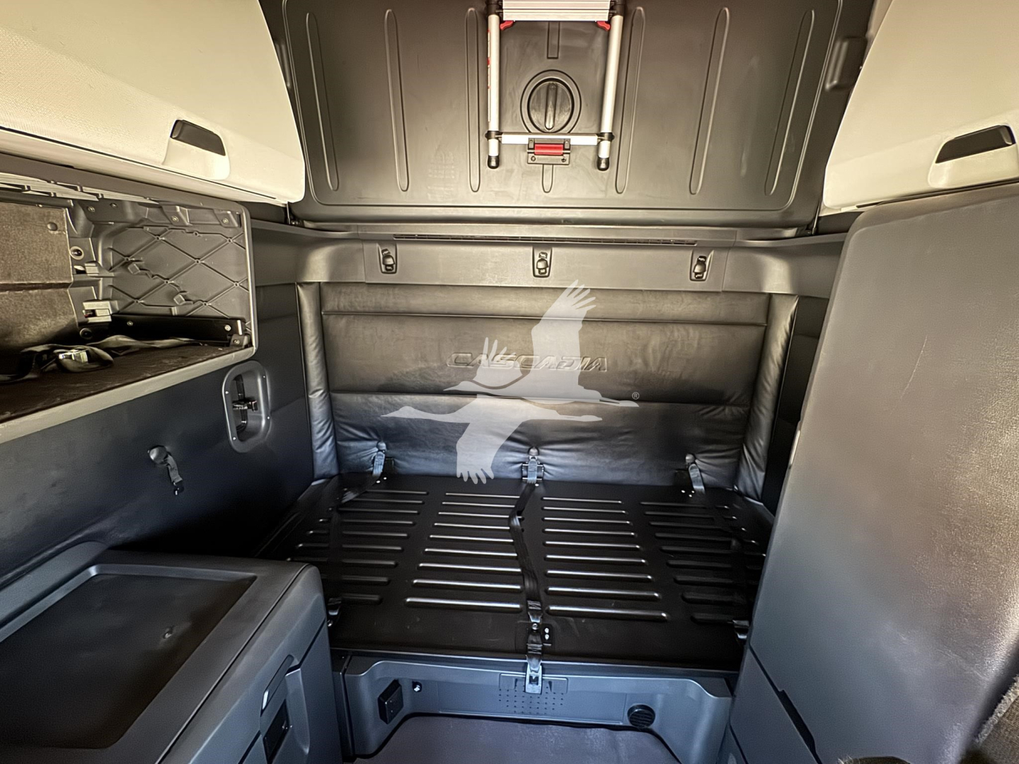Cab interior of a 2023 Freightliner Cascadia 126 conventional sleeper showing cargo area and rear wall with eagle decal.