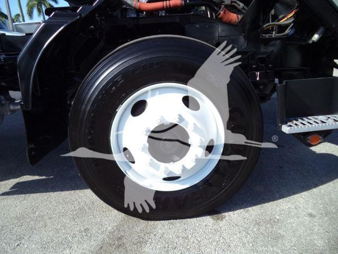 Isuzu truck wheel and front fender view showing black tire with white steel rim; visible engine bay and hydraulic lines in the background.