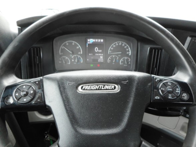Freightliner Cascadia dash with steering wheel emblem and instrument cluster showing gauges and multifunction buttons on both sides.