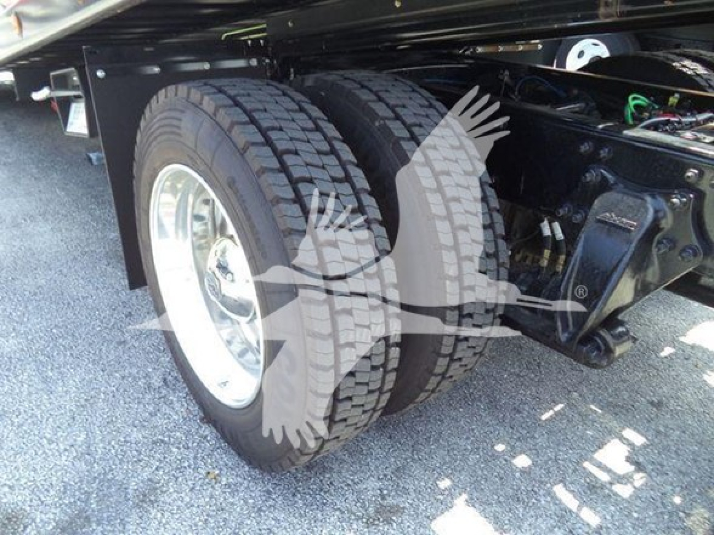 Dual rear tires on Freightliner M2 106 Plus chassis showing wheel wells and undercarriage components.