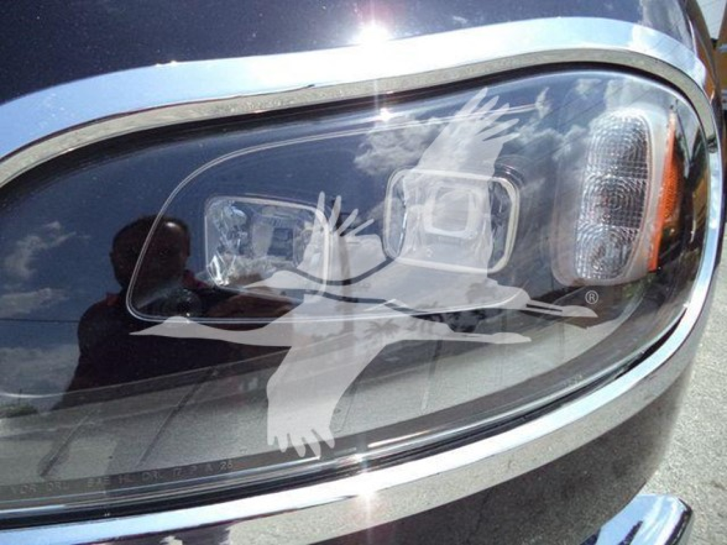 Headlight area of Freightliner M2 106 Plus with reflection and partial chrome trim.