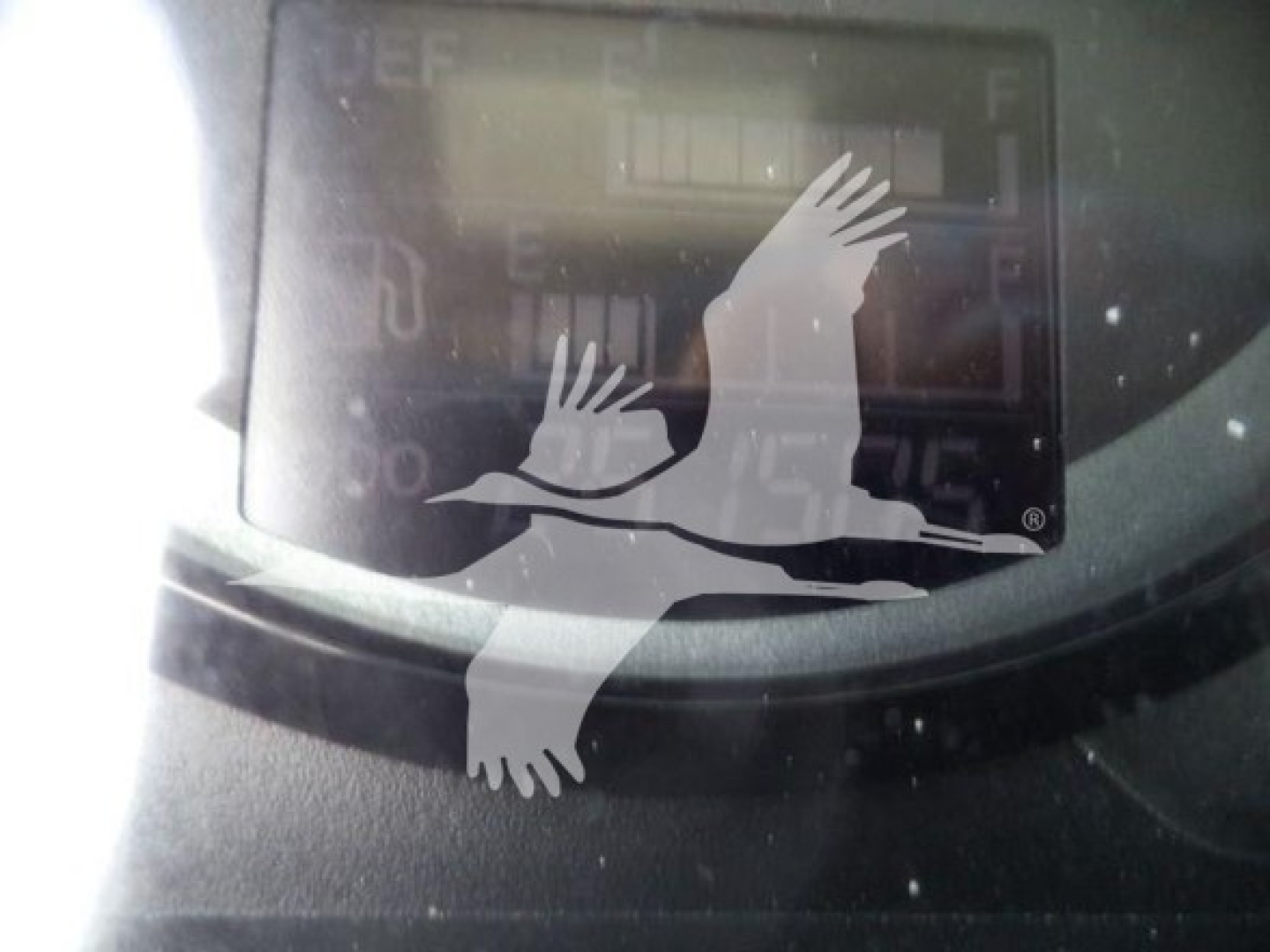 Dashboard gauge cluster with digital readout and overlaid birds logo image.