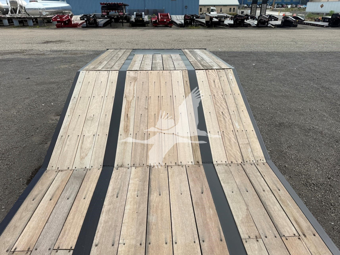 Trailer bed of a new Dorsey LB35-33Cs drop deck trailer showing wooden planks with metal edge channels and a white dove logo stamped on the center.