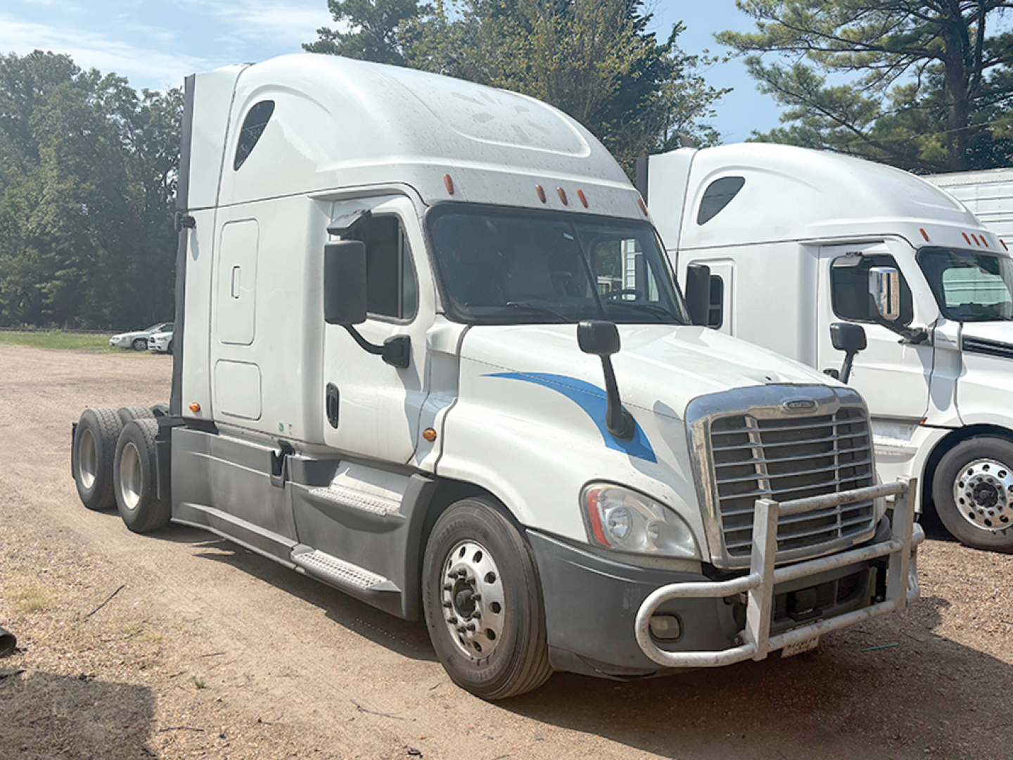 White Freightliner Cascadia125 truck with sleeper cab, front bull bar, side steps, and dual rear axles. Visible text on truck includes no legible model markings; background shows another white truck.