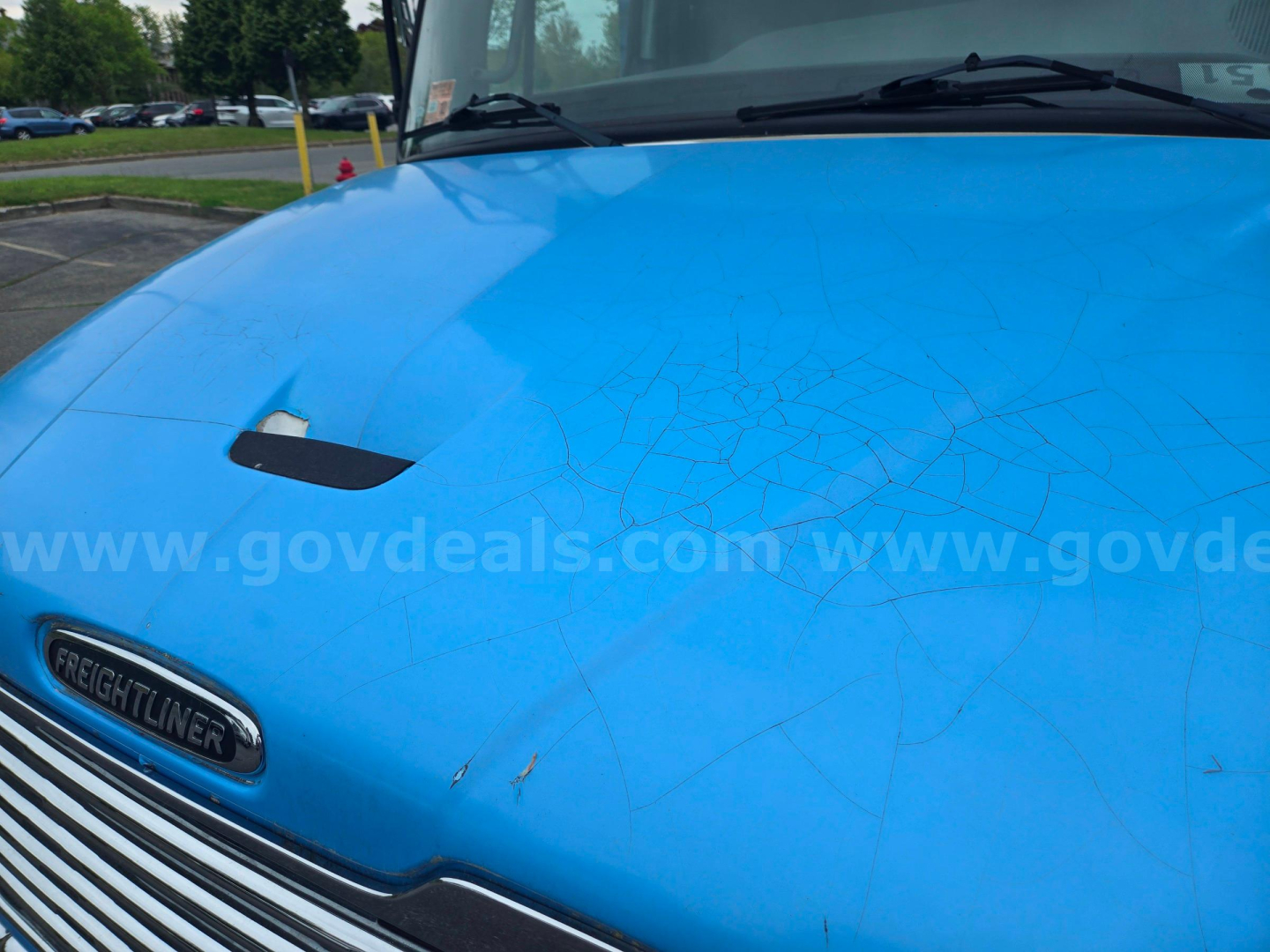 Freightliner M2 hood with blue paint showing cracks and scratches and Freightliner emblem.