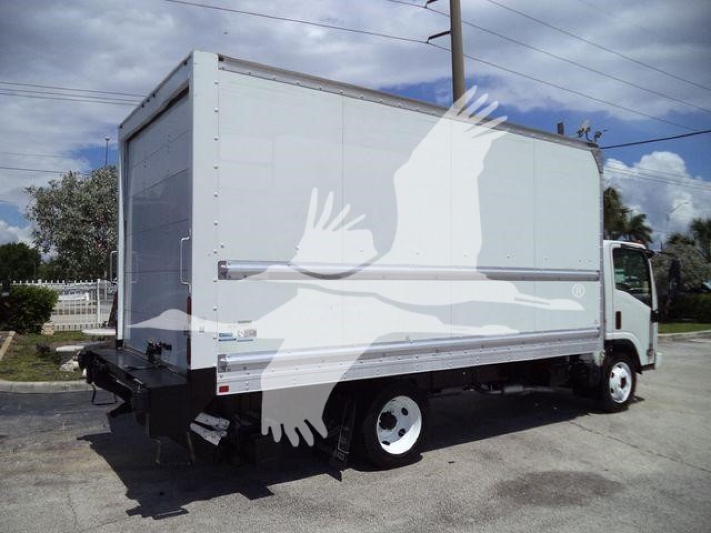 Isuzu NPR-HD box truck showing cargo box, rear underride guard, and single rear wheels. Side shows large white cargo box with plain panels.