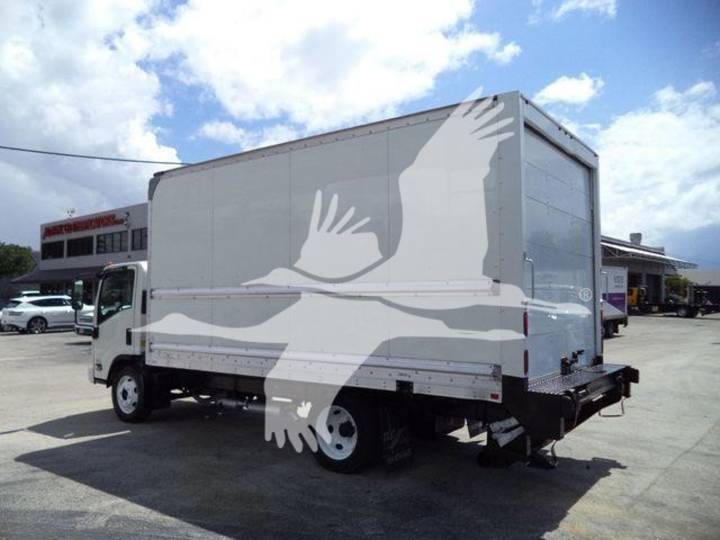 Isuzu NPR HD box truck with large white bird graphic on gray cargo area, side view showing rear ramp and bumper.