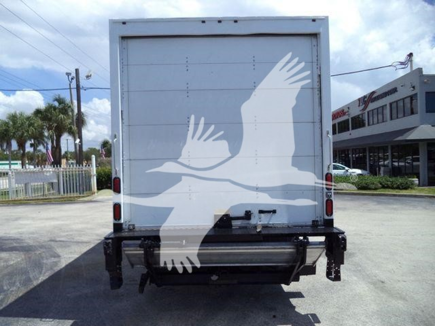 Isuzu NPR HD box truck rear showing back doors and under-recarriage. Large white bird graphic on the rear doors.