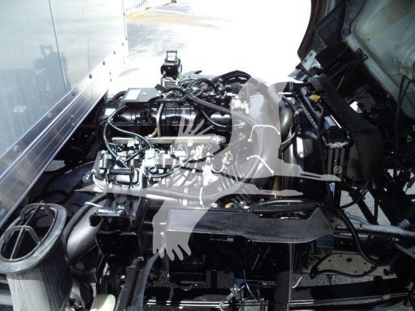 Isuzu NPR HD engine bay view under open hood with hoses and wiring visible
