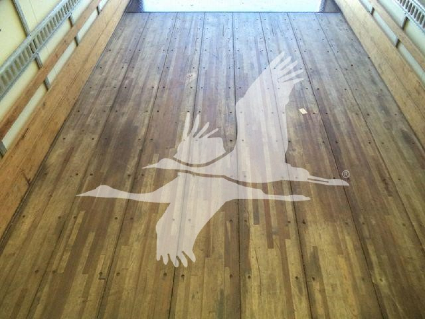 Truck bed interior with wooden planks and a large white decal of a flying goose in the center.