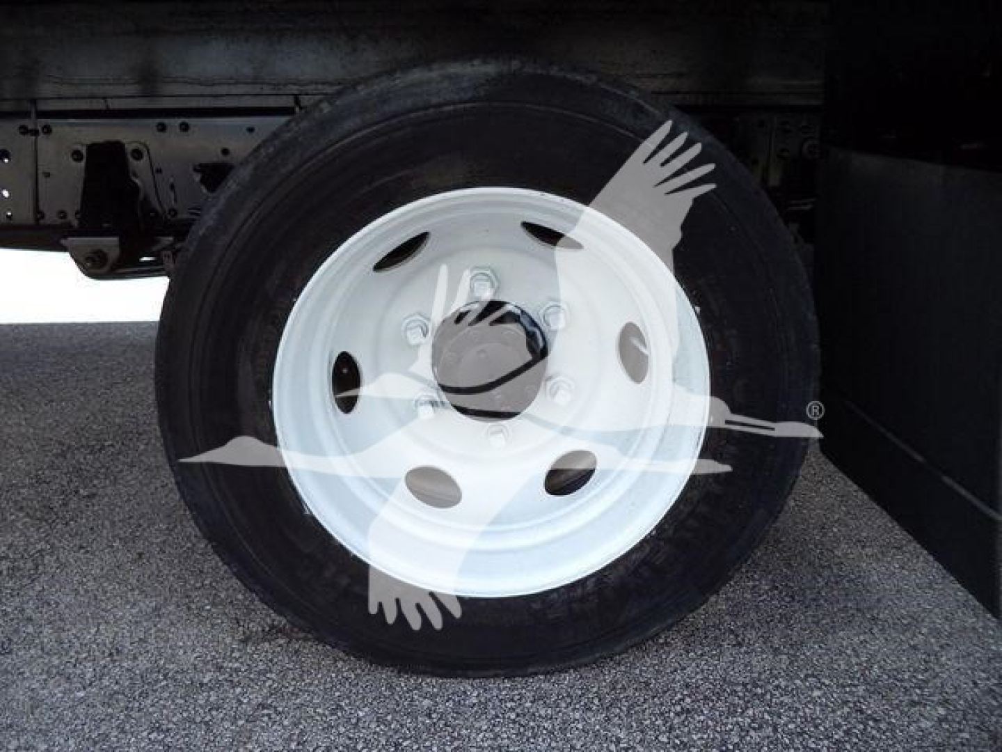 Isuzu NPR-HD truck wheel showing white steel rim and tire under truck bed.