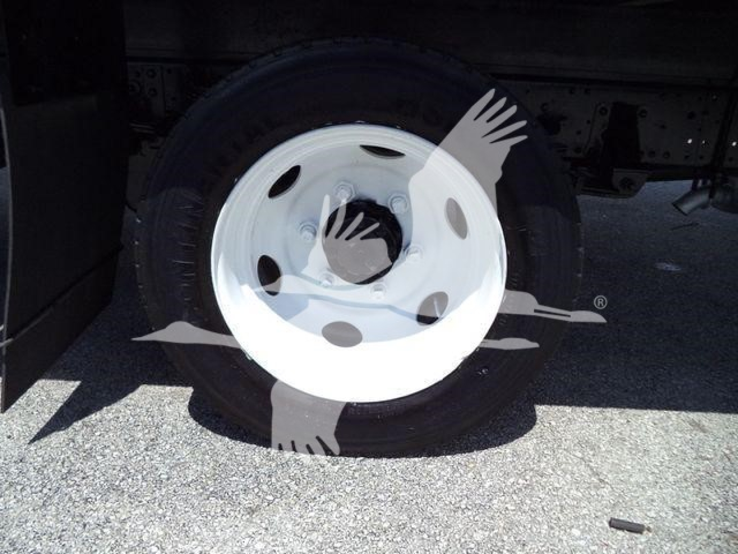Isuzu NPR HD wheel and tire on a truck chassis side view showing white steel wheel and black tire.