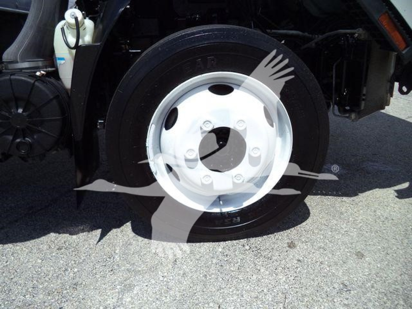 Isuzu NPR-HD wheel and tire assembly in view on a box truck; close-up of front wheel rim and tire, with part of chassis and coolant reservoir visible.