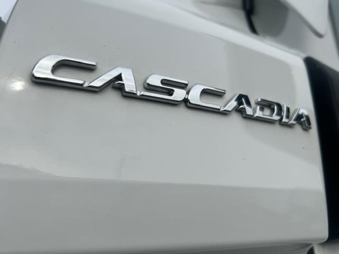 Rear view of a Freightliner Cascadia badge on a light-colored truck tailgate.