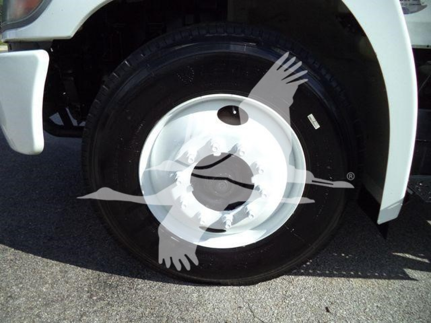 Front wheel of a 2019 Hino 338 truck showing black tire with white hubcap and front fender