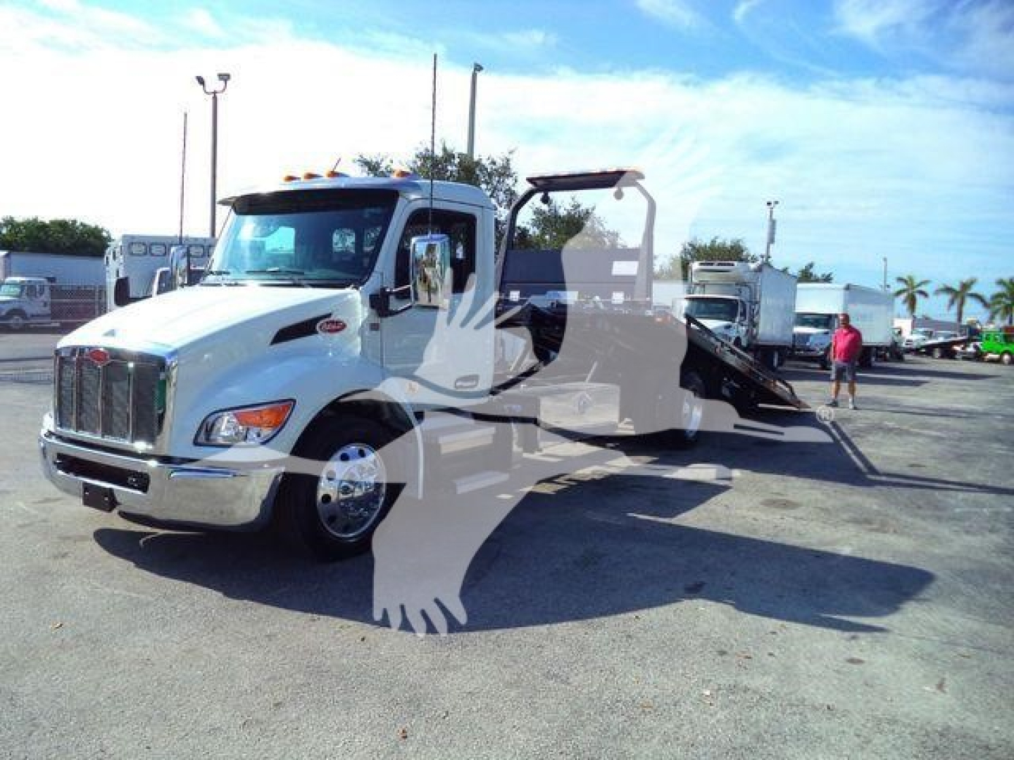 New Peterbilt 536 rollback tow truck in a lot, white cab with flatbed, stock number 1PETE536XLP22 visible.