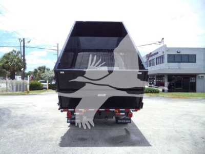 Dump truck bed and rear view showing hydraulic tailgate and stickered bumper, black cargo bed with white graphics.