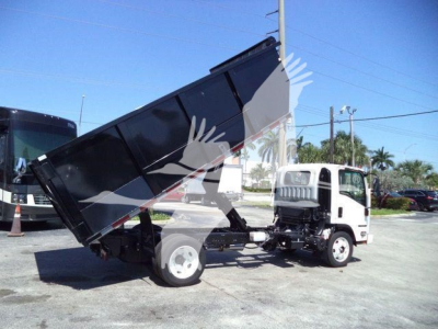 Isuzu NPR HD dump truck with bed raised, white cab, black dump bed, front view at an outdoor lot.