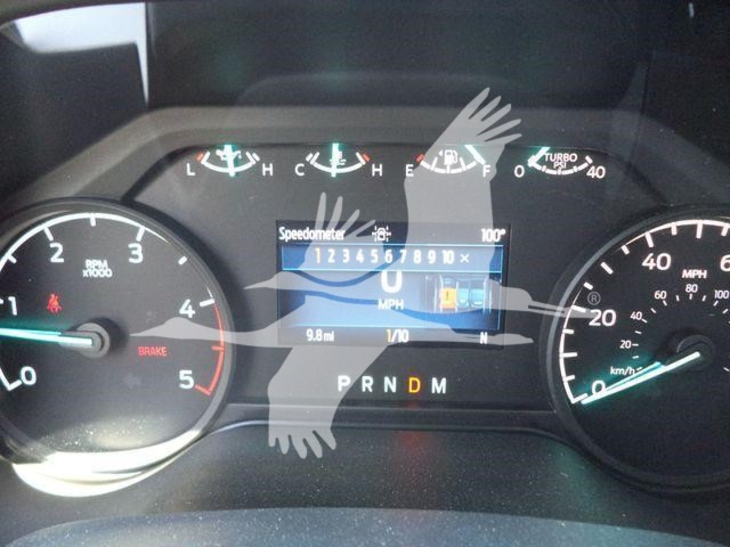 Dashboard of a 2024 Ford F600 XLT showing instrument cluster with tachometer, speedometer, and digital display; gear selector PRNDM visible.