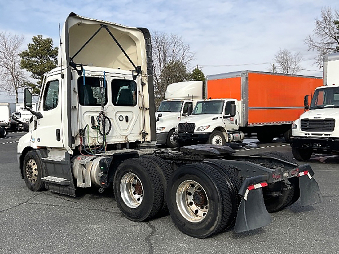 Truck chassis and cab of a Freightliner Cascadia 116 with rear dual axle and fifth wheel area visible; rear mud flaps and wheels; other trucks in background.