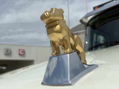 Golden bulldog hood ornament on a white Mack truck with chrome base, close-up view.