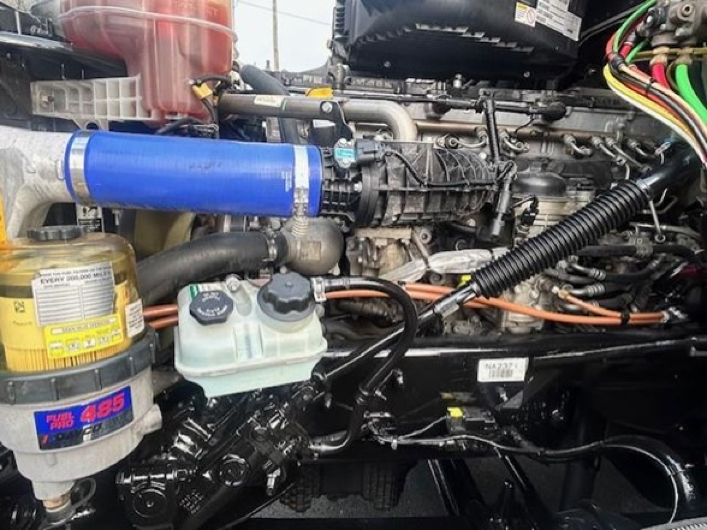 Freightliner Cascadia engine bay showing blue silicone intercooler pipe, coolant reservoir, oil filter canister, and various hoses labeled with tags.