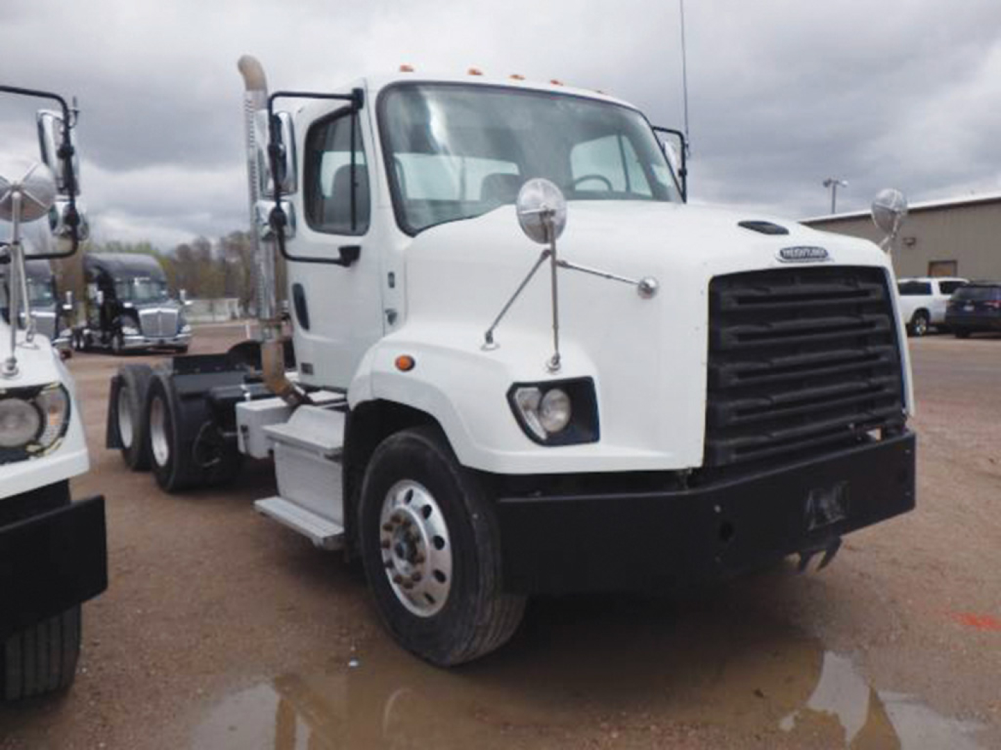 White Freightliner 114 SD daycab truck front-left view showing large black grille and round mirrors.