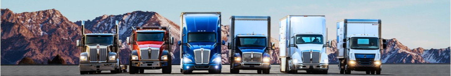 Kenworth W900L truck lineup in front of desert mountains showing multiple trucks in a row.