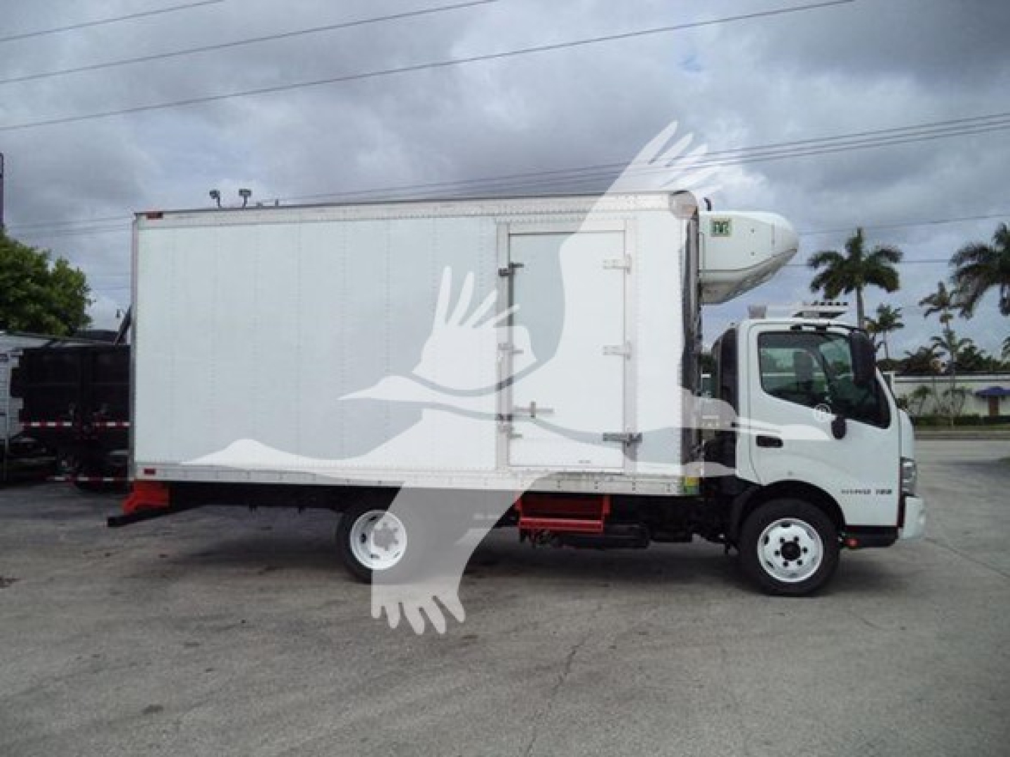 Used 2019 Hino 195 refrigerated truck side view with cargo box and cab, VIN JHHHDM2H7KK004018, stock T04018.