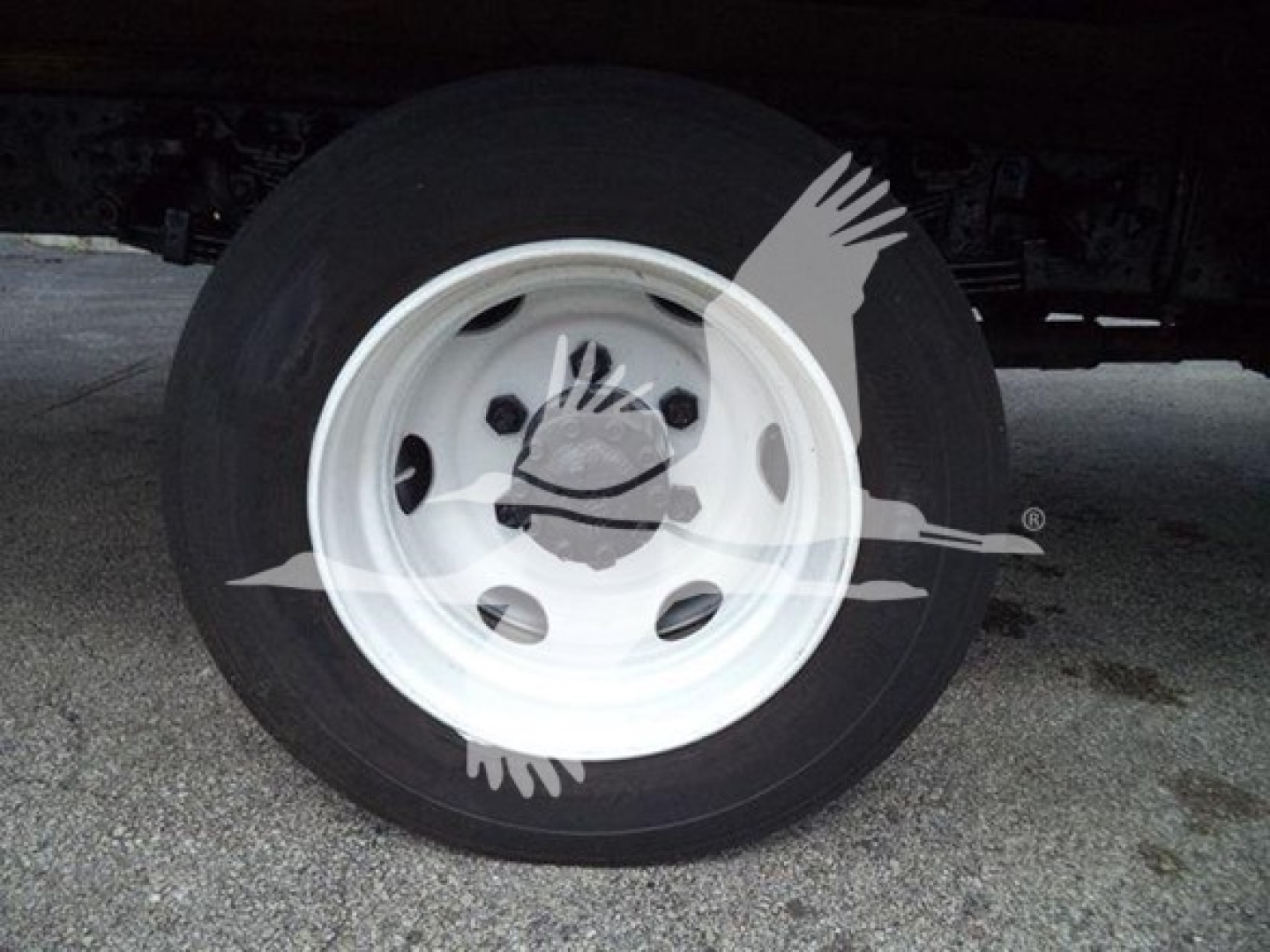 Truck wheel showing white steel rim and black tire with partial undercarriage visible