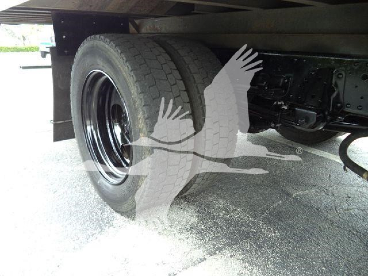 Isuzu NQR truck undercarriage showing rear dual wheels and chassis with black rim and tire.